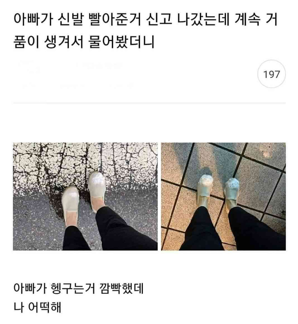 첨부 이미지